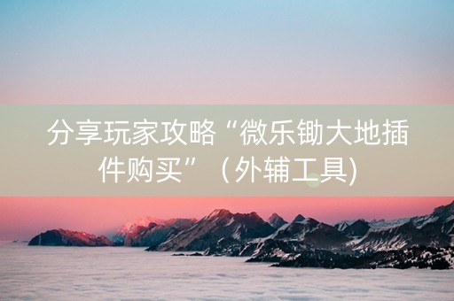 分享玩家攻略“微乐锄大地插件购买”（外辅工具)