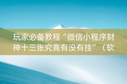 玩家必备教程“微信小程序财神十三张究竟有没有挂”（软挂神器)