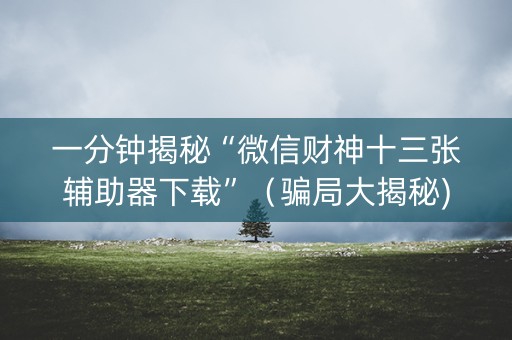 一分钟揭秘“微信财神十三张辅助器下载”（骗局大揭秘)