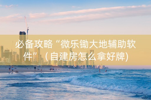 必备攻略“微乐锄大地辅助软件”（自建房怎么拿好牌)