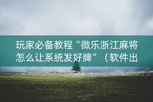玩家必备教程“微乐浙江麻将怎么让系统发好牌”（软件出售)