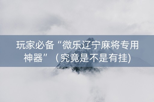 玩家必备“微乐辽宁麻将专用神器”（究竟是不是有挂)