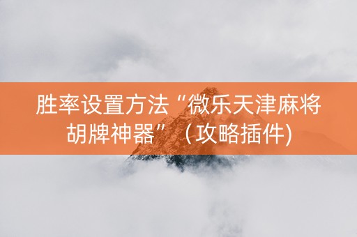 胜率设置方法“微乐天津麻将胡牌神器”（攻略插件)