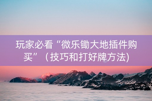 玩家必看“微乐锄大地插件购买”（技巧和打好牌方法)