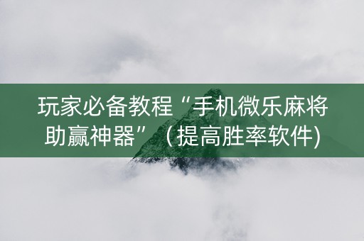 玩家必备教程“手机微乐麻将助赢神器”（提高胜率软件)