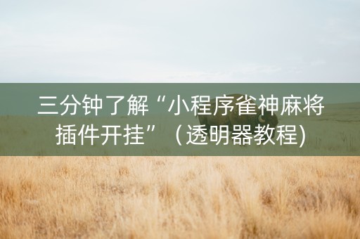 三分钟了解“小程序雀神麻将插件开挂”（透明器教程)