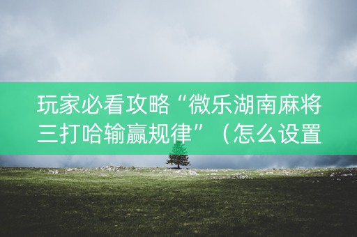 玩家必看攻略“微乐湖南麻将三打哈输赢规律”（怎么设置能有好牌)