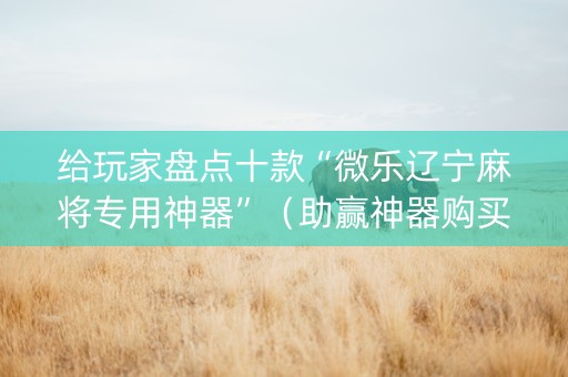 给玩家盘点十款“微乐辽宁麻将专用神器”（助赢神器购买)