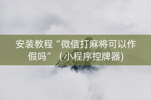安装教程“微信打麻将可以作假吗”（小程序控牌器)