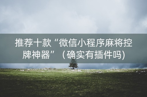 推荐十款“微信小程序麻将控牌神器”（确实有插件吗)