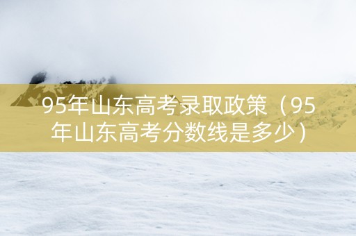 95年山东高考录取政策（95年山东高考分数线是多少）