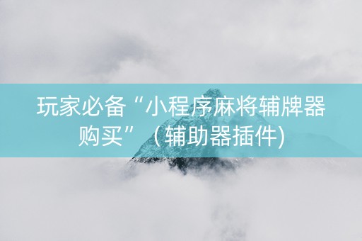 玩家必备“小程序麻将辅牌器购买”（辅助器插件)