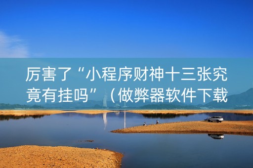 厉害了“小程序财神十三张究竟有挂吗”（做弊器软件下载)