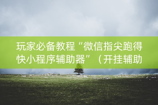 玩家必备教程“微信指尖跑得快小程序辅助器”（开挂辅助器脚本)