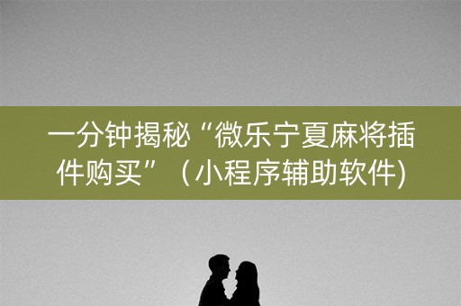 一分钟揭秘“微乐宁夏麻将插件购买”（小程序辅助软件)
