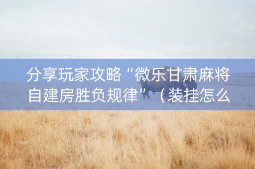 分享玩家攻略“微乐甘肃麻将自建房胜负规律”（装挂怎么安装)