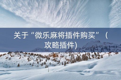 关于“微乐麻将插件购买”（攻略插件)
