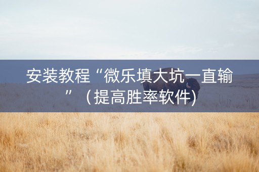 安装教程“微乐填大坑一直输”（提高胜率软件)