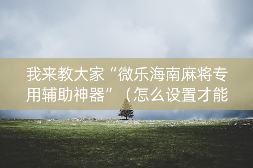 我来教大家“微乐海南麻将专用辅助神器”（怎么设置才能赢)