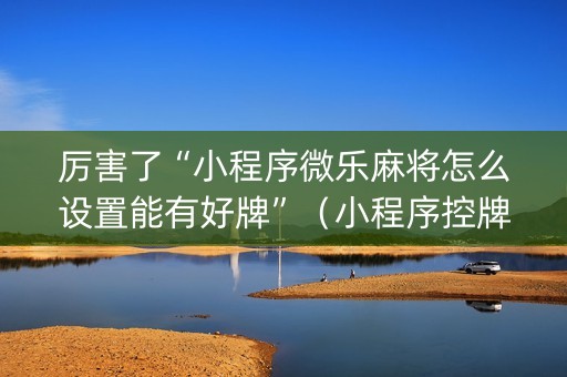 厉害了“小程序微乐麻将怎么设置能有好牌”（小程序控牌器)