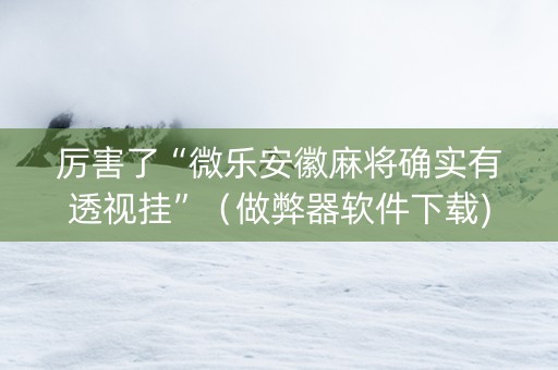 厉害了“微乐安徽麻将确实有透视挂”（做弊器软件下载)