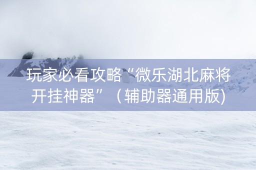 玩家必看攻略“微乐湖北麻将开挂神器”（辅助器通用版)