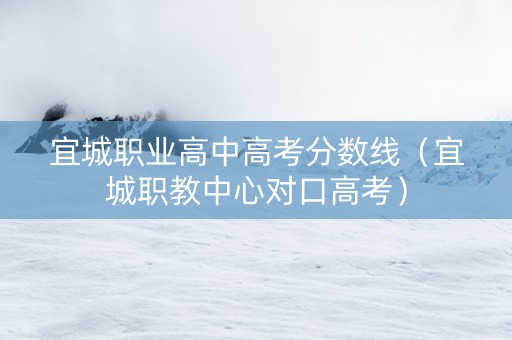 宜城职业高中高考分数线（宜城职教中心对口高考）