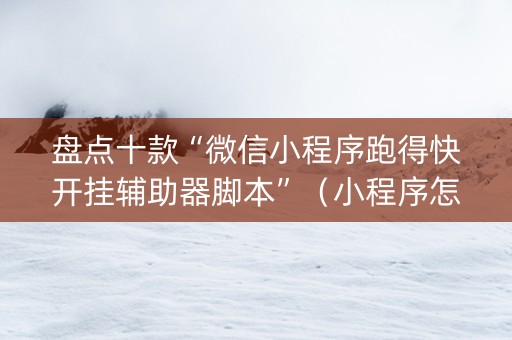 盘点十款“微信小程序跑得快开挂辅助器脚本”（小程序怎么才会赢)