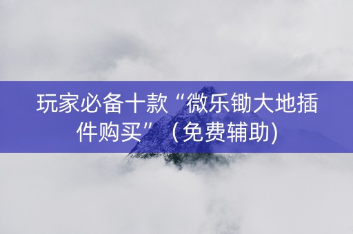 玩家必备十款“微乐锄大地插件购买”（免费辅助)