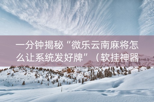 一分钟揭秘“微乐云南麻将怎么让系统发好牌”（软挂神器)