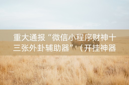 重大通报“微信小程序财神十三张外卦辅助器”（开挂神器下载)