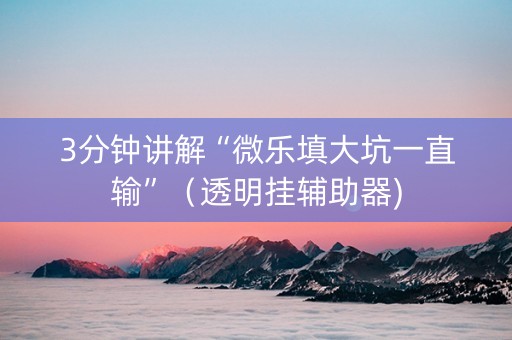 3分钟讲解“微乐填大坑一直输”（透明挂辅助器)