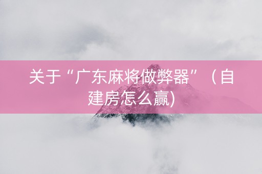 关于“广东麻将做弊器”（自建房怎么赢)
