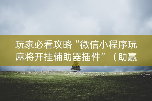玩家必看攻略“微信小程序玩麻将开挂辅助器插件”（助赢神器)
