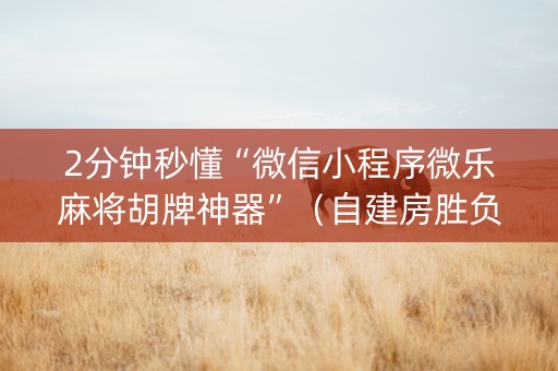 2分钟秒懂“微信小程序微乐麻将胡牌神器”（自建房胜负规律)