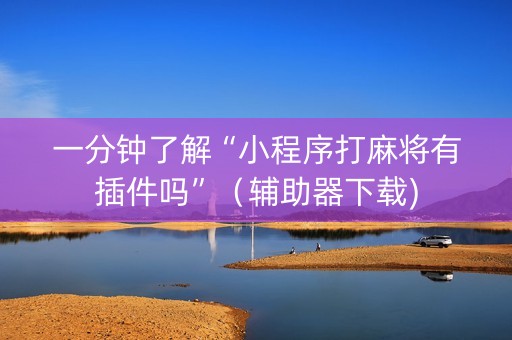 一分钟了解“小程序打麻将有插件吗”（辅助器下载)