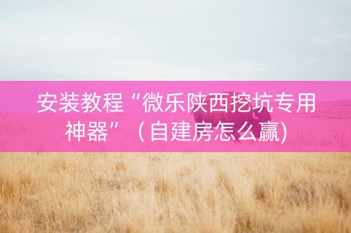 安装教程“微乐陕西挖坑专用神器”（自建房怎么赢)
