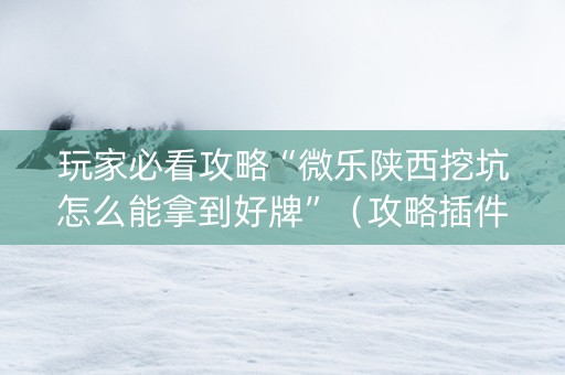玩家必看攻略“微乐陕西挖坑怎么能拿到好牌”（攻略插件)
