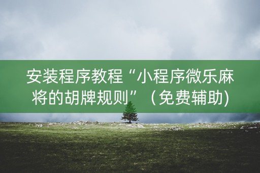 安装程序教程“小程序微乐麻将的胡牌规则”（免费辅助)