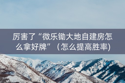 厉害了“微乐锄大地自建房怎么拿好牌”（怎么提高胜率)