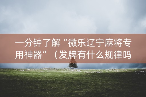 一分钟了解“微乐辽宁麻将专用神器”（发牌有什么规律吗)
