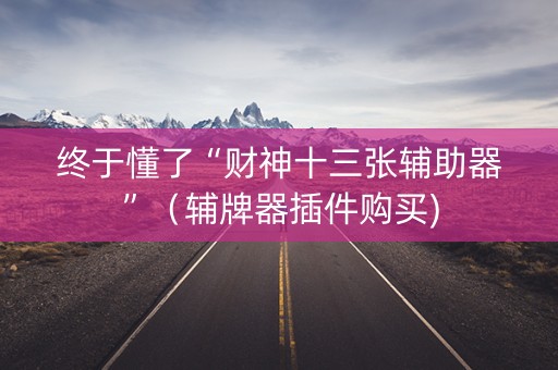 终于懂了“财神十三张辅助器”（辅牌器插件购买)