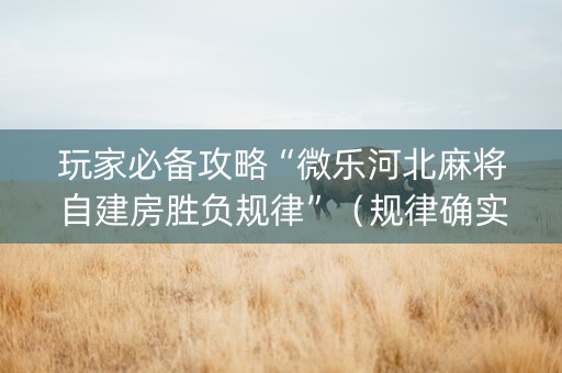 玩家必备攻略“微乐河北麻将自建房胜负规律”（规律确实有挂)