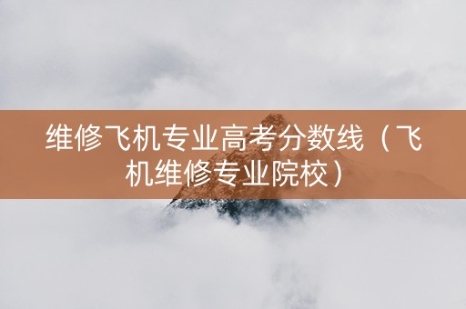 维修飞机专业高考分数线（飞机维修专业院校）