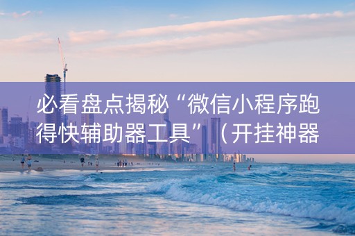 必看盘点揭秘“微信小程序跑得快辅助器工具”（开挂神器下载)
