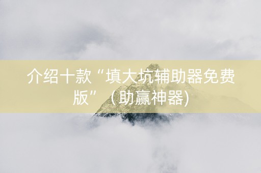 介绍十款“填大坑辅助器免费版”（助赢神器)