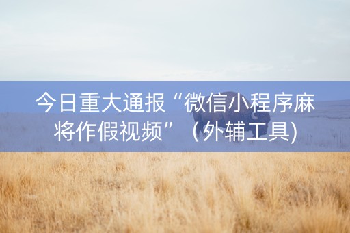 今日重大通报“微信小程序麻将作假视频”（外辅工具)