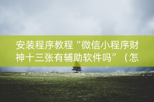 安装程序教程“微信小程序财神十三张有辅助软件吗”（怎么让系统给你发好牌)