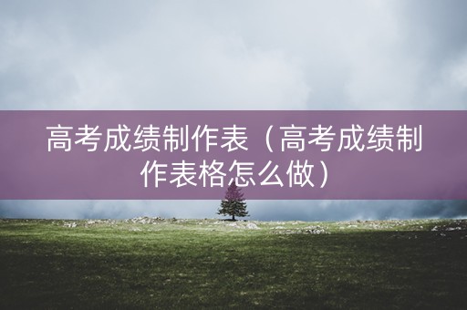 高考成绩制作表（高考成绩制作表格怎么做）