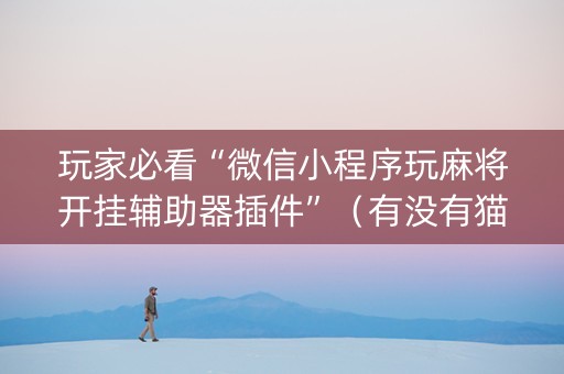 玩家必看“微信小程序玩麻将开挂辅助器插件”（有没有猫腻)
